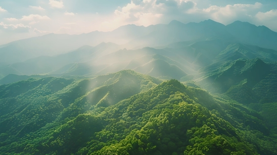 【文化底蕴宣传片】巍巍秦岭，探寻宏基药业健康产业深厚历史文化底蕴