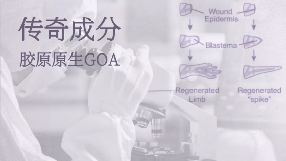 【成分探秘】GOA攻克胶原再生世界性难题